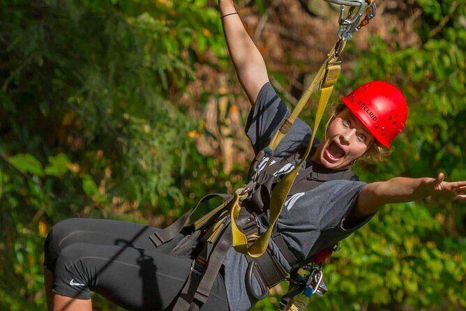 New River Gorge, WV - Zip Line Tour - Why Choose This Zip Line Tour?