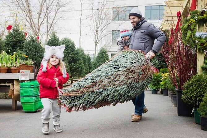 New York City's Iconic Christmas Tour - Who Should Consider This Tour?