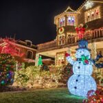 New York Dyker Heights Christmas Lights Guided Walking Tour - Who Should Consider This Tour?