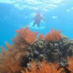 Nha Trang Boat Trip - The Experience: Authentic, Fun, and Value-Packed