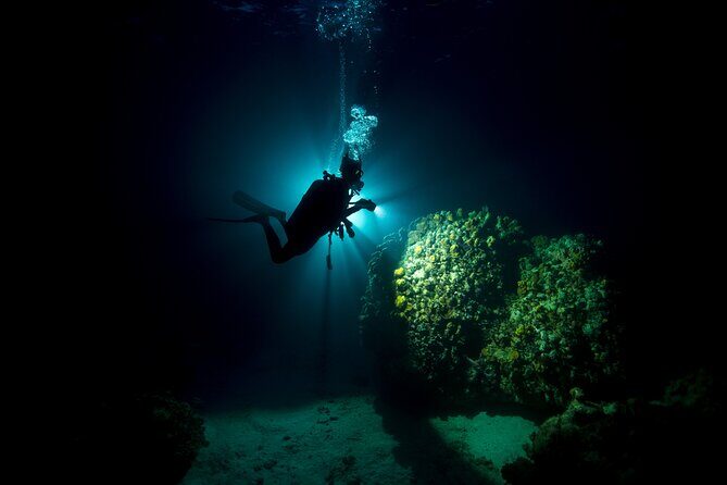 Night Dive Adventure in Oahu - FAQ