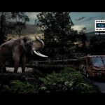Night Safari Tour with Transfer - Practical Details & Tips for Your Night Safari Tour