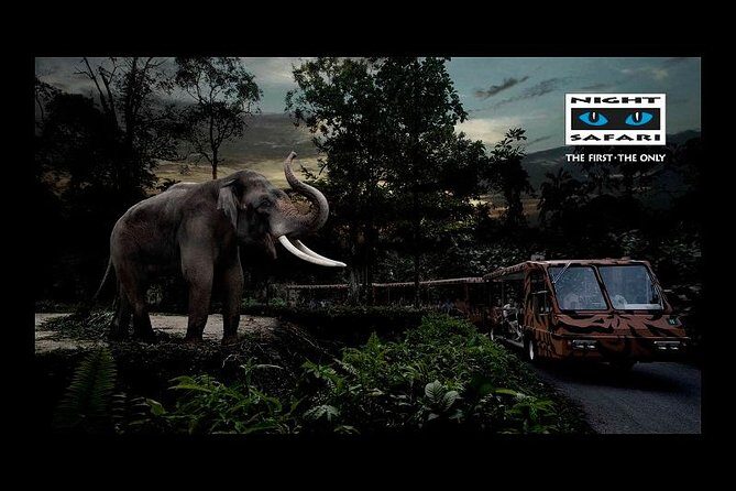 Night Safari Tour with Transfer - Practical Details & Tips for Your Night Safari Tour