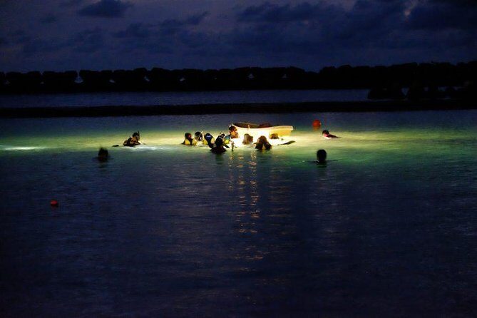 Night Snorkeling Experience in Mirissa - Authentic Feedback from Participants