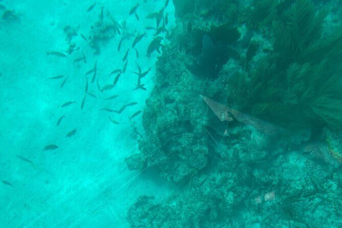 Night Tour Glass Bottom Boat in Islamorada - The Experience: Practical Details