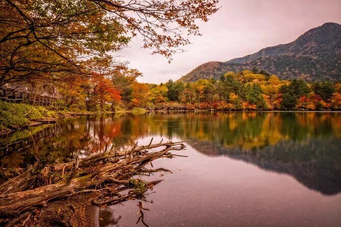 Nikko Day Tour Private with English Speaking Driver - Exploring the Itinerary