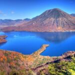 Nikko Full-Day Private Walking Tour with Government-Licensed Guide (Tokyo DEP.) - Why This Tour Is Worth Considering