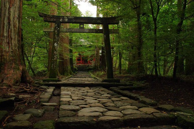 Nikko Private Customizable Full Day Tour - Who Will Love This Tour?