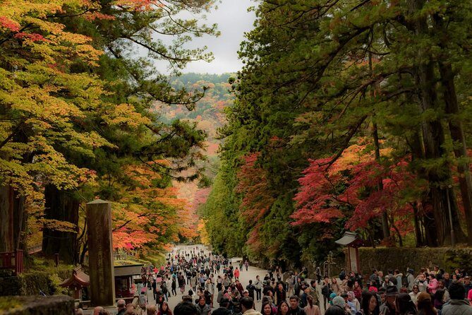 Nikko Private Customizable Half Day Tour - Who Is This Tour Best For?