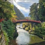 Nikko Private Day Tour with Guide by Car (from Tokyo) - Who Is This Tour Best Suited For?
