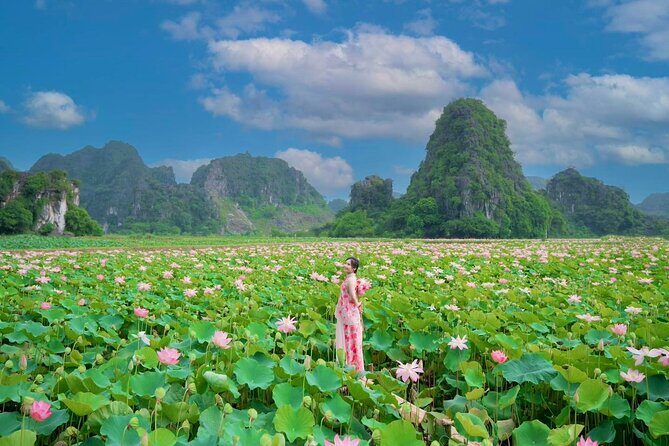 Ninh Binh 1 Day: Hoa Lu & Trang An & Mua Cave - Authentic Experiences and Practicalities