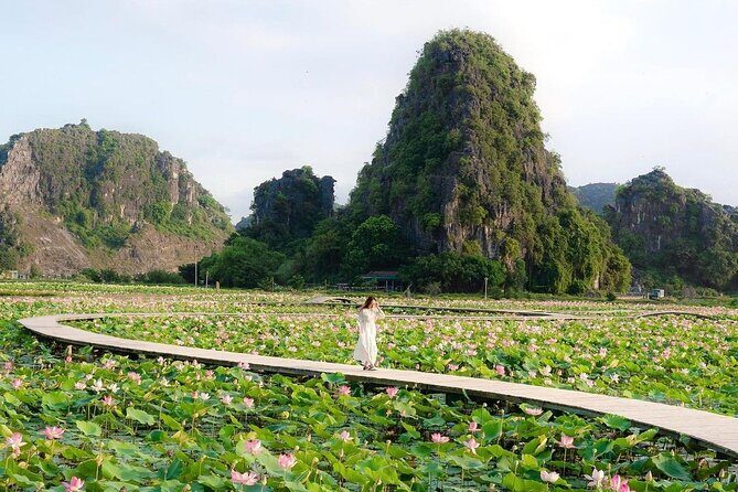 Ninh Binh 1 day trip with Hoa Lu- Tam Coc boat & Cycling village - Practical Tips for Travelers