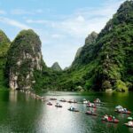 Ninh Binh full day-Hoa Lu temple & biking, Tam Coc boat trip, Dragon mountain - What Makes This Tour Stand Out?