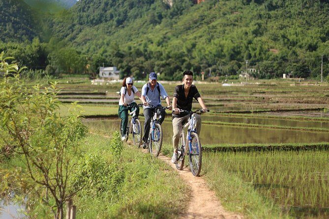 Ninh Binh-Hoa Lu-Tam Coc - Mua cave - Dragon Mountain Hiking 1 Day Tour - Climbing to the Top of Mua Cave
