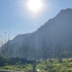 Ninh Binh - Pu Luong | Best Optional Choices | 3 - 4 days Tours - Authentic Experiences & Guides