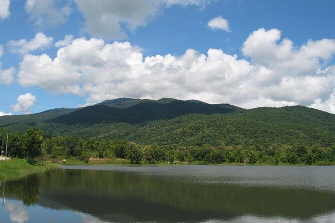 "No.1 Chiang Mai: Leisure Bicycle Ride to Lake Huay Tueng Tao" - Value and Practical Insights