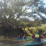 No.1 Chiang Mai: Leisure River Kayaking: Mae Taeng forest Reserve - Why This Tour Offers Great Value