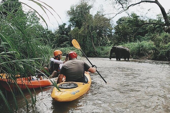 No.1 Chiang Mai : White Water Kayaking: Mae Wang Jungle River - The Thrills of Lower Rapids and Lost Canyon