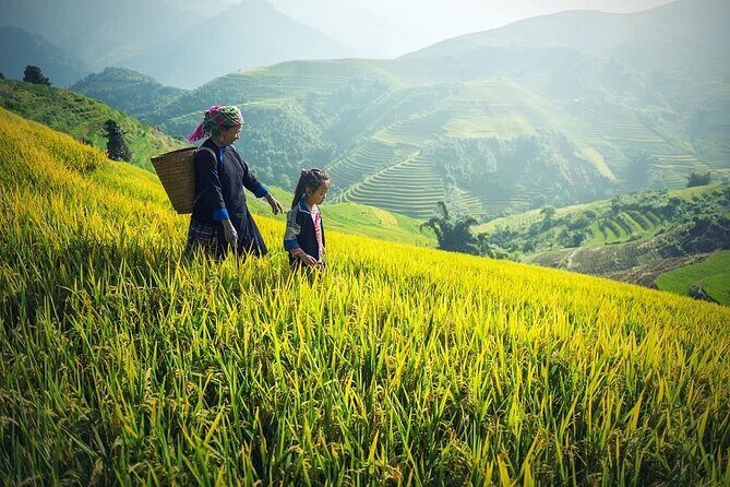 Noi Bai airport transfer by luxury Limousine Bus to Sapa from Hanoi - Why This Transfer Works for You
