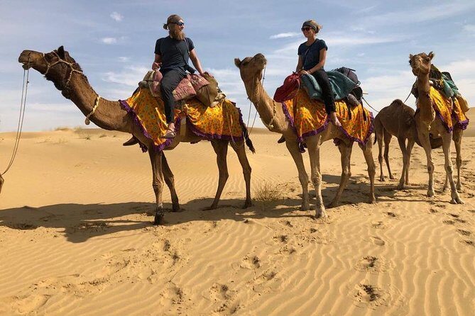 Nomadic Non-Touristic Overnight Tour & camel Safari - Practical Details and Value