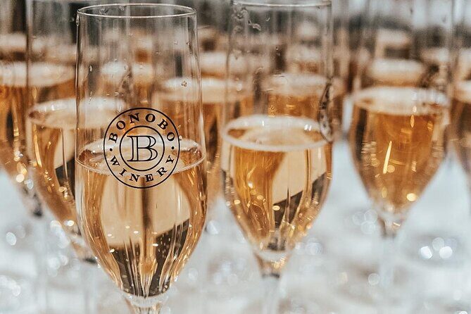 NON BUS Champagne Wine Tour in Traverse City Shared Experience - The Sum Up: Is this tour worth it?