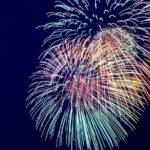 Norfolk 4th of July Buffet Dinner Cruise - What You Can Expect From the Experience