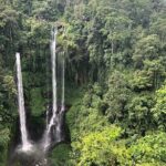 North Bali Tour: Banyumala Waterfall & Wanagiri Hidden Hills - Who Would Love This Tour?