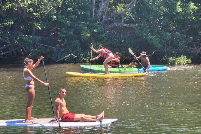 North Shore Direct with Dole Plantation & Haliewa Town - Who Should Consider This Tour?