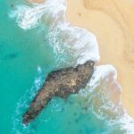 North Shore of Oahu Private Full-Day Tour with Local Guide - Authentic Insights from Past Participants