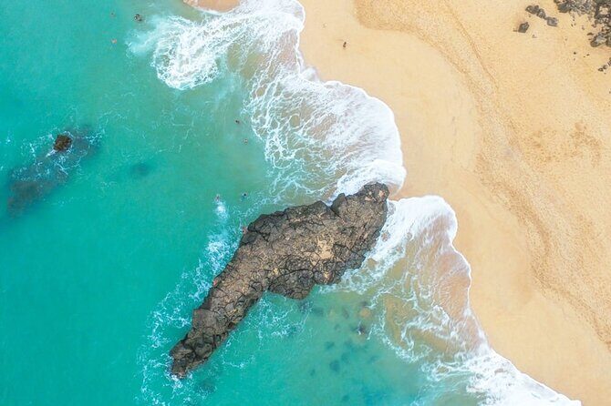 North Shore of Oahu Private Full-Day Tour with Local Guide - Authentic Insights from Past Participants