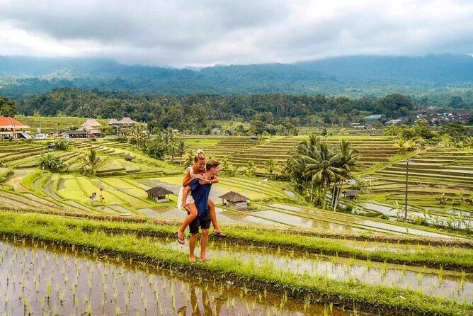 Northern Bali Tour - Private Full Day Tour - All Inclusive - What Makes This Tour Stand Out?