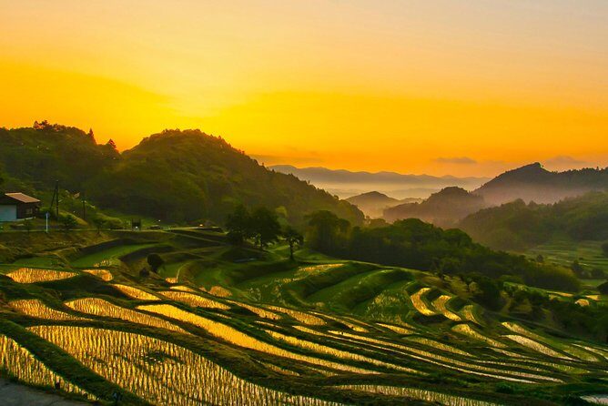 Noto Full Day Driving Tour (Private Car) - Practical Details and What to Expect