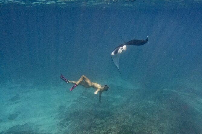 Nusa Penida day trip: boat, 4 snorkeling, Manta rays & Land tour - Who Will Love This Tour?