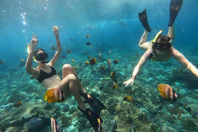 Nusa Penida Island Beach Tours with Snorkeling From Bali - Who Would Love This Tour?