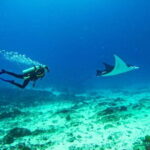 Nusa Penida Private Diving Tour by Speedboat - What Makes This Tour Stand Out?