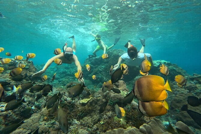 Nusa Penida Snorkeling Trip Manta Point Gamat Bay and Wall Bay - Why This Tour Is Worth It
