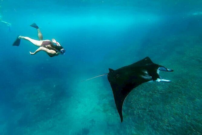Nusa Penida Snorkeling with Manta Bay & Island Tour - Who Would Love This Tour?