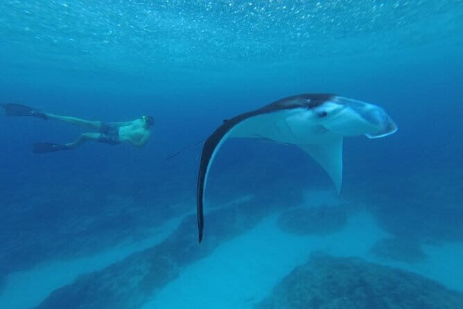 Nusa Penida Snorkling Package - The Experience: What Travelers Have Said