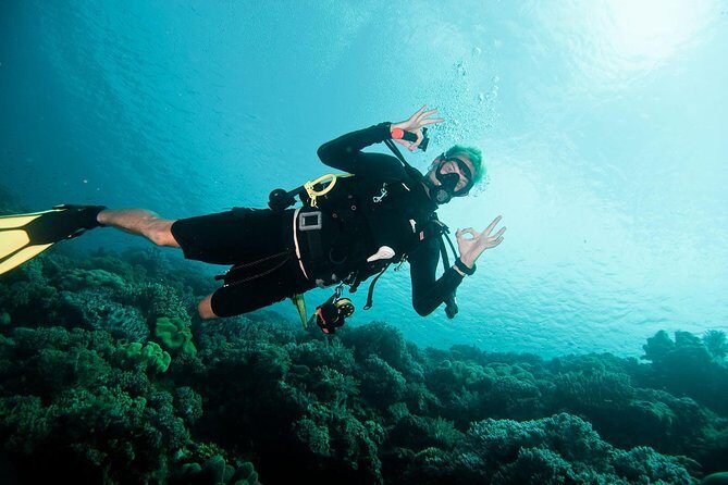 Nusa Penida Two Dives Trip for Certified Divers - Who Should Consider This Tour?