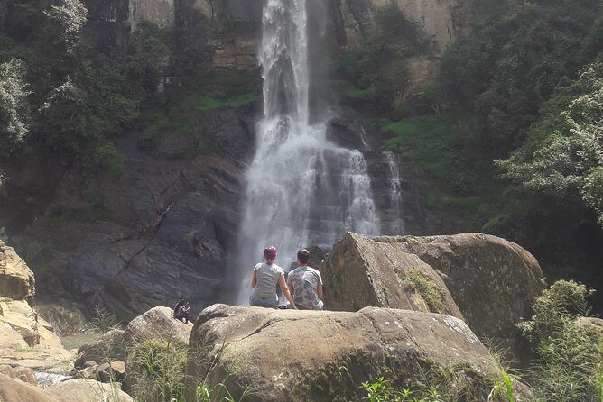 Nuwara Eliya Day Tour - Why This Tour Works for Different Travelers