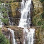 Nuwara Eliya Tea factory,plantation and Water Falls Tour - The Complete Breakdown of the Tour Experience