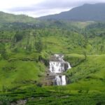 Nuwaraeliya Day Tour & Kithulgala Water Rafting from Kandy,Colombo or Ella - The Sum Up