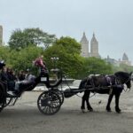NYC Empire State Horses Carriage Ride in Central Park(55 Min) - Who Will Love This Tour?