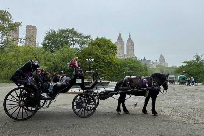 NYC Empire State Horses Carriage Ride in Central Park(55 Min) - Who Will Love This Tour?