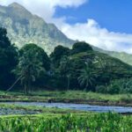 Oahu Customizable Private Community Service Voluntourism Offer - A Deep Dive into the Experience