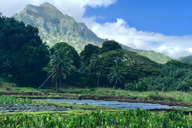 Oahu Customizable Private Community Service Voluntourism Offer - A Deep Dive into the Experience
