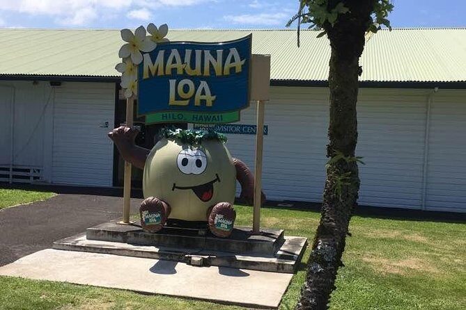 Oahu to Big Island : Big Island Volcano Helicopter Tour & Hilo 1 Day Tour - Introduction to the Tour Experience
