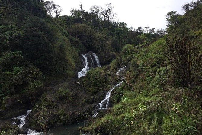 Oahu to Maui 1 Day Trip : Road to Hana Day Trip from Oahu with Air Ticket - A Deep Dive Into the Experience