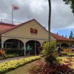 Oahu Tour - Pearl Harbor, Dole Pineapple & Oahu Tour - Who Would Love This Tour?