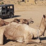 Off the beaten track overnight Camel Safari Tour Jaisalmer - What Makes This Tour Stand Out?
